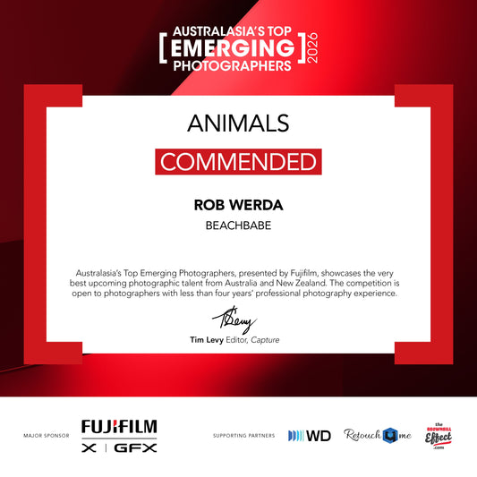 Raw Oz Images — Commended, Animals Category, Australasia's Top Emerging Photographers 2026