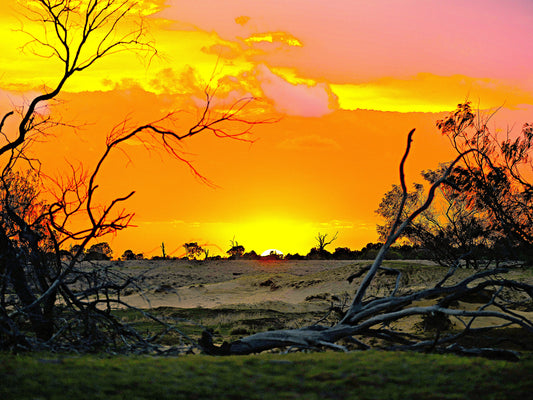Vivid orange and pink outback sunset over dry sand and fallen branches, photographed by Raw Oz Images.