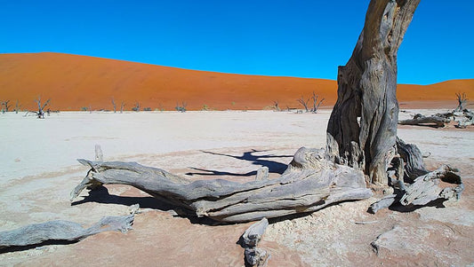 Deadvlei - Namibia