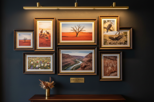 New to the Gallery — 41 Limited Edition Australian Fine Art Prints