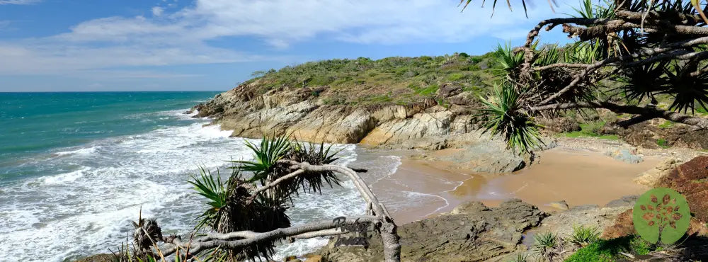 1770 BACK BEACH - Raw Oz Images