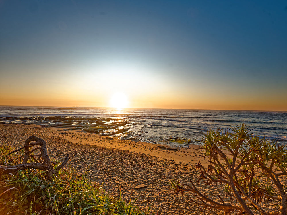RawScapes #2 - Beach Blaze