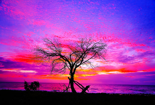 Night Sky — Limited Edition Australian Coastal Photography Print