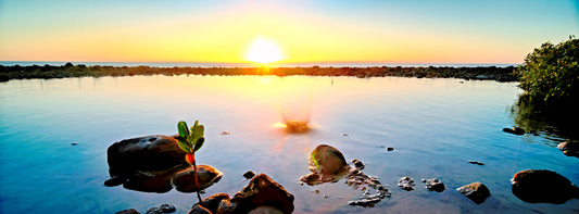Dawn Ripples — Limited Edition Australian Coastal Photography Print