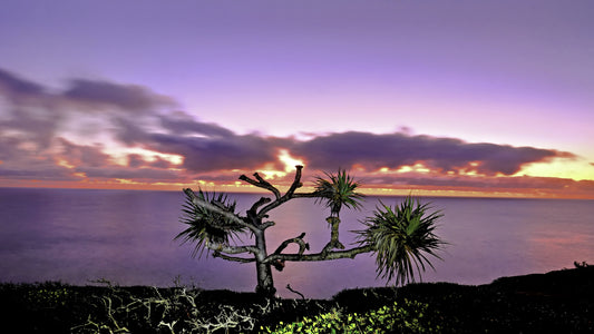 Sun Support — Fine Art Photography Print | Australian Coastal Landscape Wall Art