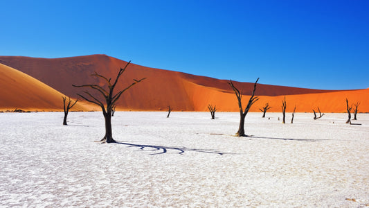 Deadvlei — Namibia | Limited Edition Fine Art Photography Print