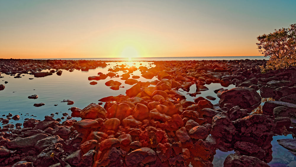 RawPrints #3 - Red Rock