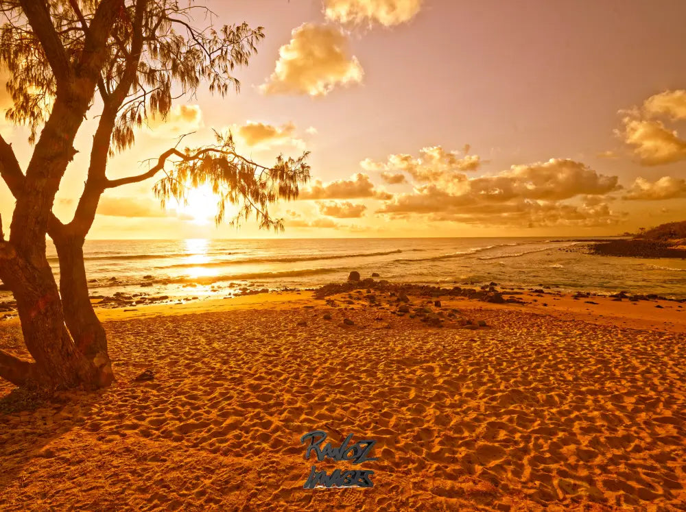 Golden yellow sunrise over Australian beach warm coastal light effects