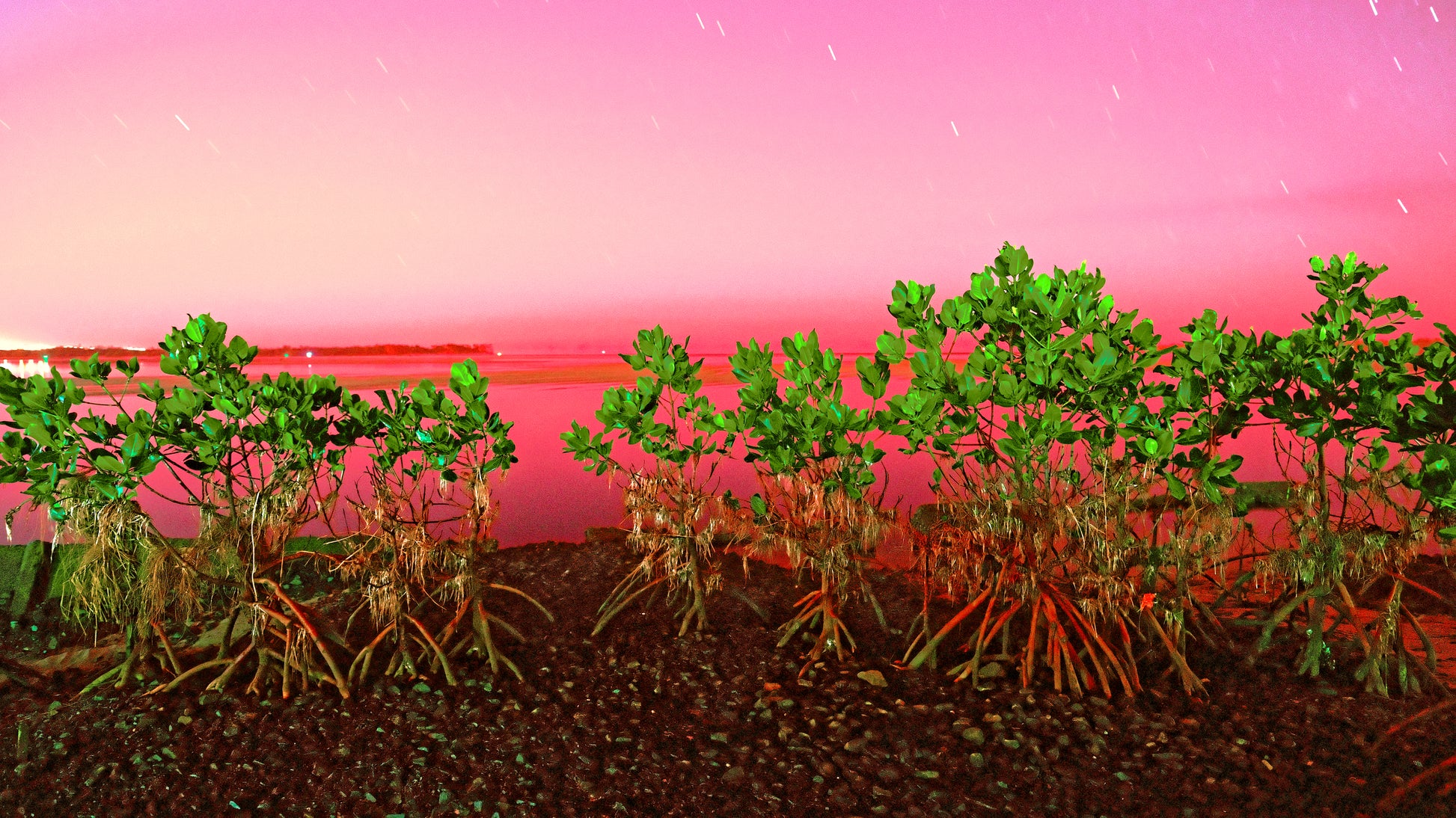 RawScapes - Raw Oz Images
