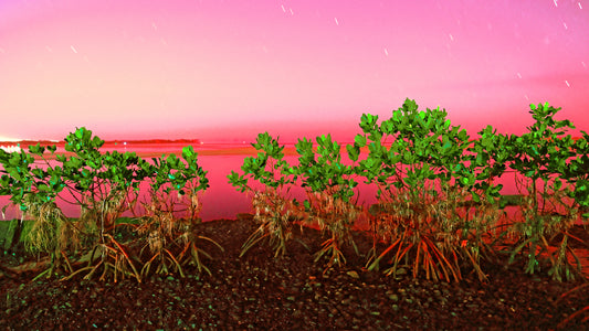 RawScapes - Raw Oz Images
