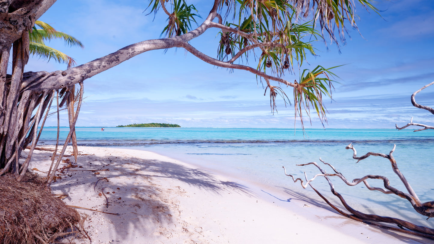 Aitutaki lagoon beach scene with turquoise water, white sand and pandanus tree, Cook Islands — fine art photography print by Raw Oz Images