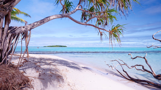 Aitutaki lagoon beach scene with turquoise water, white sand and pandanus tree, Cook Islands — fine art photography print by Raw Oz Images