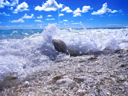 Radiant — Australian Coastal Wave | Limited Edition Photography Print