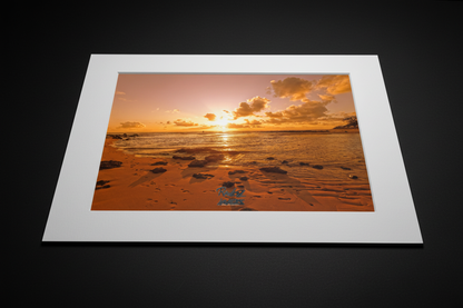 Mellow Yellow mat board