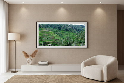 Paddies and Palms — Framed on Wall