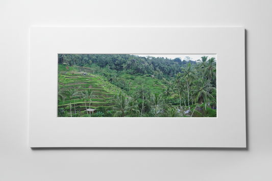 Paddies and Palms — White Matt Board