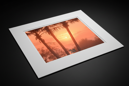 Palm Glows mat board