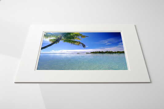 Palm Paradise — White Matt Board