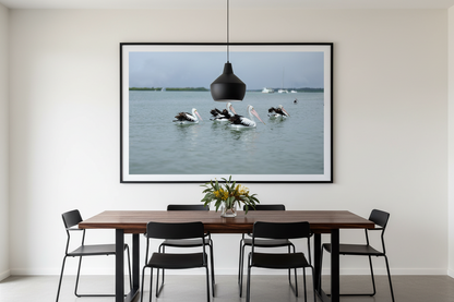 Pelicans Fine Art Photography Print — Australian Coastal Wildlife Wall Art