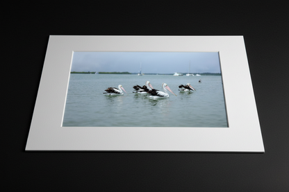 Pellies mat board