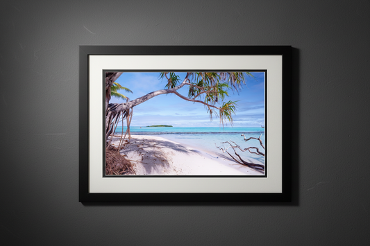The Cooky's fine art print presented with white mat board — limited edition Cook Islands coa